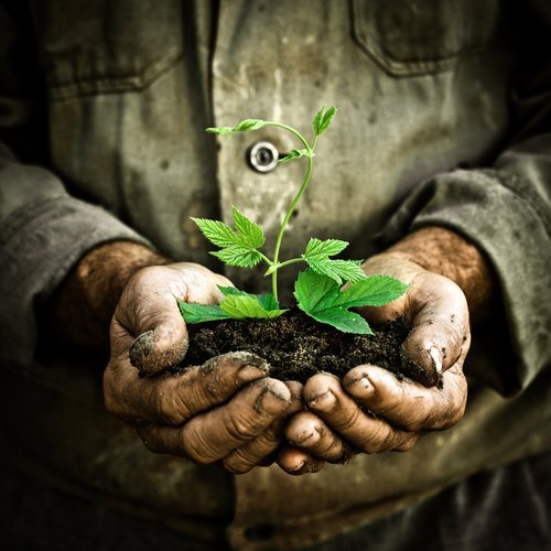 farmers-day
